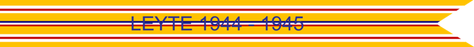 LEYTE 1944-1945 US AIR FORCE CAMPAIGN STREAMER